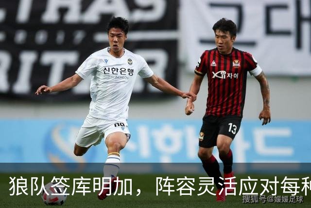 狼队签库明加，阵容灵活应对每种挑战